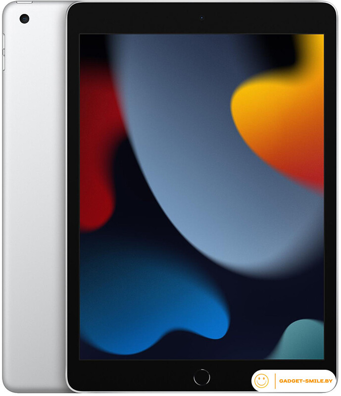 Планшет Apple iPad 10.2 2021 256GB Wi-Fi Серебристый