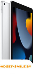 Планшет Apple iPad 10.2 2021 64GB Wi-Fi Серебристый