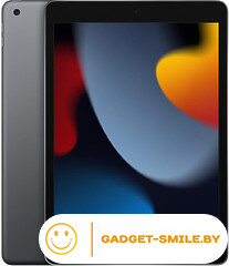 Планшет Apple iPad 10.2 2021 256GB Wi-Fi Серый