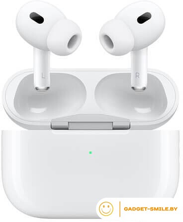 Наушники Apple AirPods Pro 2 с разъемом USB Type-C