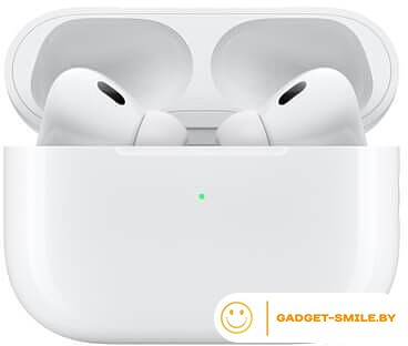 Наушники Apple AirPods Pro 2 с разъемом USB Type-C