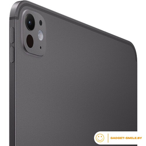 Планшет Apple iPad Pro 11 2024 2TB Черный космос (MVVG3)