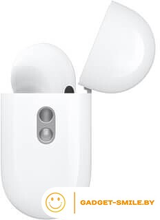 Наушники Apple AirPods Pro 2 с разъемом USB Type-C