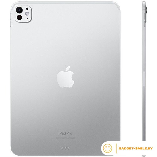 Планшет Apple iPad Pro 11 2024 2TB Серебристый (MVVH3)