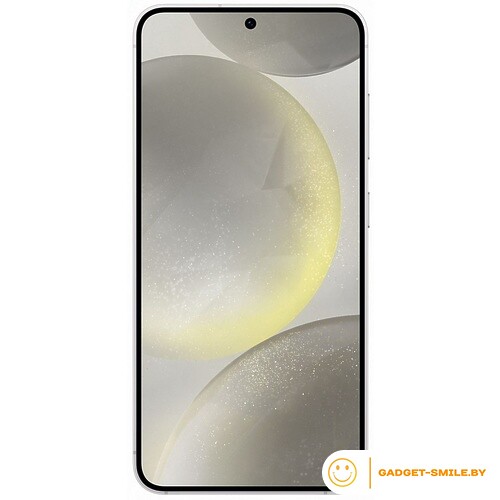 Samsung Galaxy S24+ 12/256GB Серый (SM-S9260)