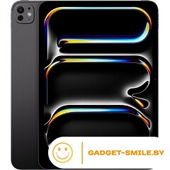 Планшет Apple iPad Pro 11 2024 5G 2TB Черный космос (MVW73)