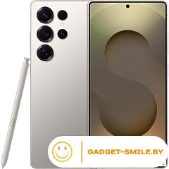 Samsung Galaxy S25 Ultra 12/1TB Серый титан