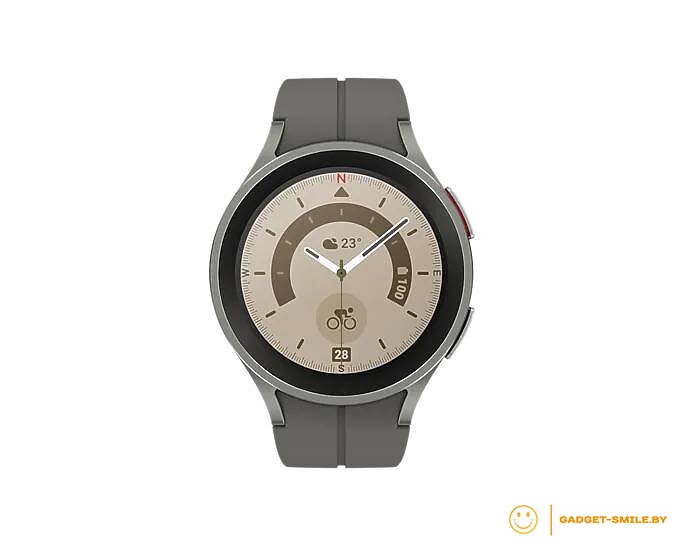 Samsung Galaxy Watch5 Pro 45мм Серый титан