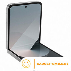 Samsung Galaxy Z Flip6 12GB/256GB Серый