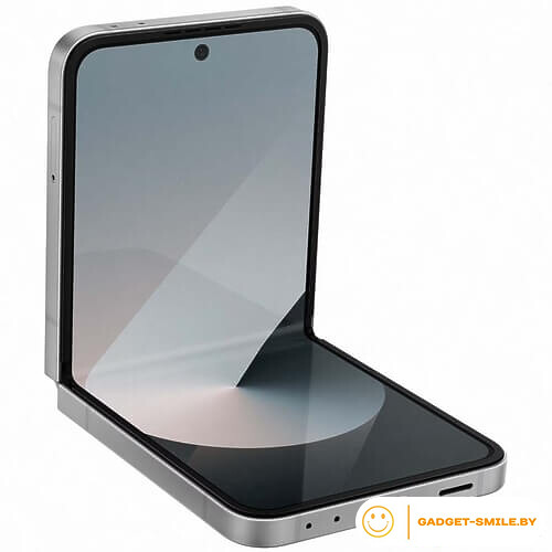 Samsung Galaxy Z Flip6 12GB/256GB Серый