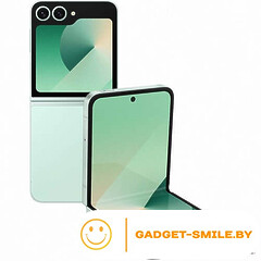 Samsung Galaxy Z Flip6 12GB/256GB Мятный