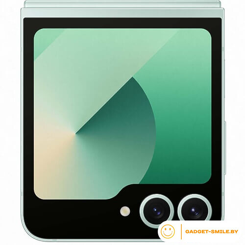 Samsung Galaxy Z Flip6 12GB/256GB Мятный