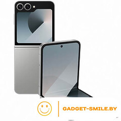 Samsung Galaxy Z Flip6 12GB/512GB Серый