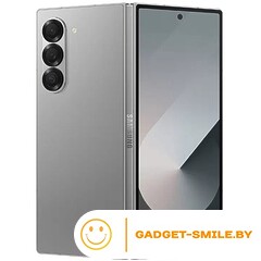 Samsung Galaxy Z Fold6 12GB/256GB Серый