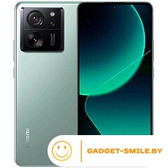 Xiaomi 13T 12GB/256GB Зеленый луг