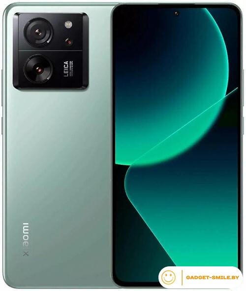 Xiaomi 13T Pro 12GB/256GB Зеленый луг