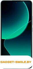 Xiaomi 13T Pro 16GB/1TB Зеленый луг