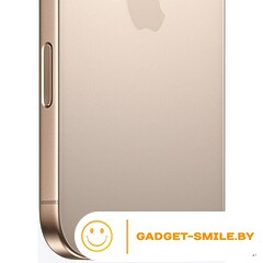 Apple iPhone 16 Pro Max 256GB Пустынный титан