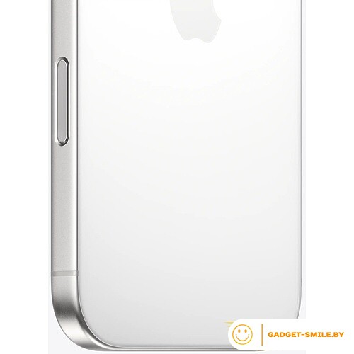 Apple iPhone 16 Pro Max 256GB Белый титан