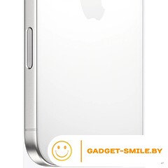Apple iPhone 16 Pro Max 512GB Белый титан