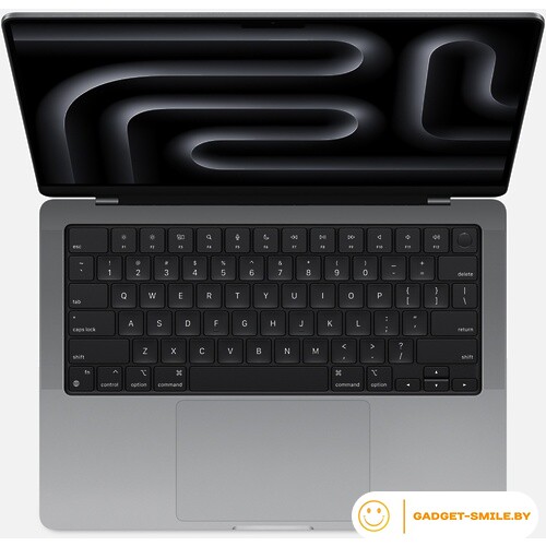 Apple MacBook Pro 14 MTL83 Space Gray (M3 8-Core, GPU 10-Core, 8GB, 1TB)