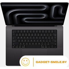 Apple MacBook Pro 16 MUW63 Space Black (M3 Max 16-Core, GPU 40-Core, 48GB, 1TB)