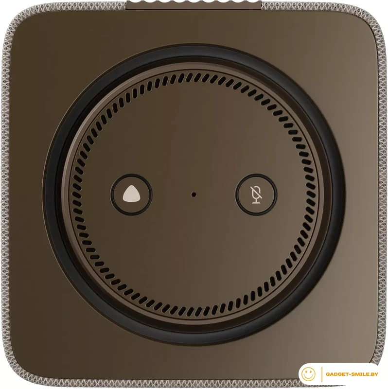 Умная колонка Яндекс Станция Макс (с хабом умного дома Zigbee, бежевый)